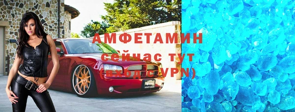 хмурый Аркадак