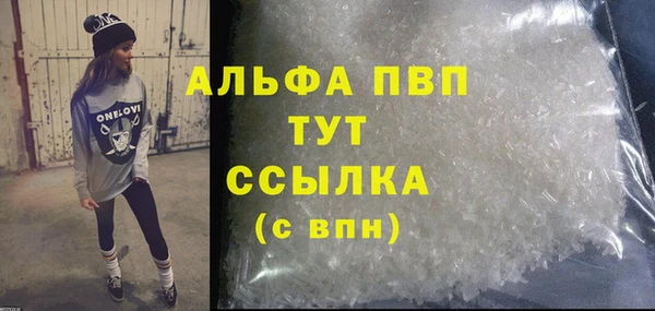 хмурый Аркадак