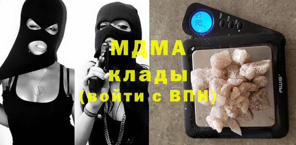 хмурый Аркадак