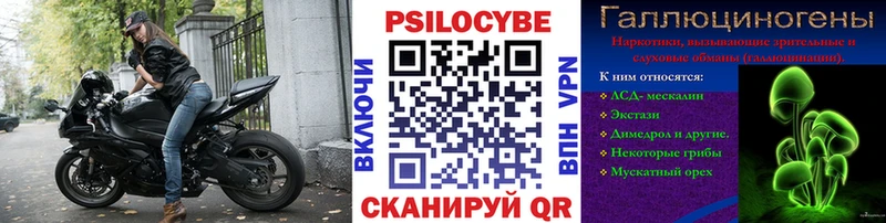 Псилоцибиновые грибы мицелий  Купить где  Константиновск 